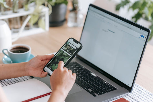 A person shopping plants online from home