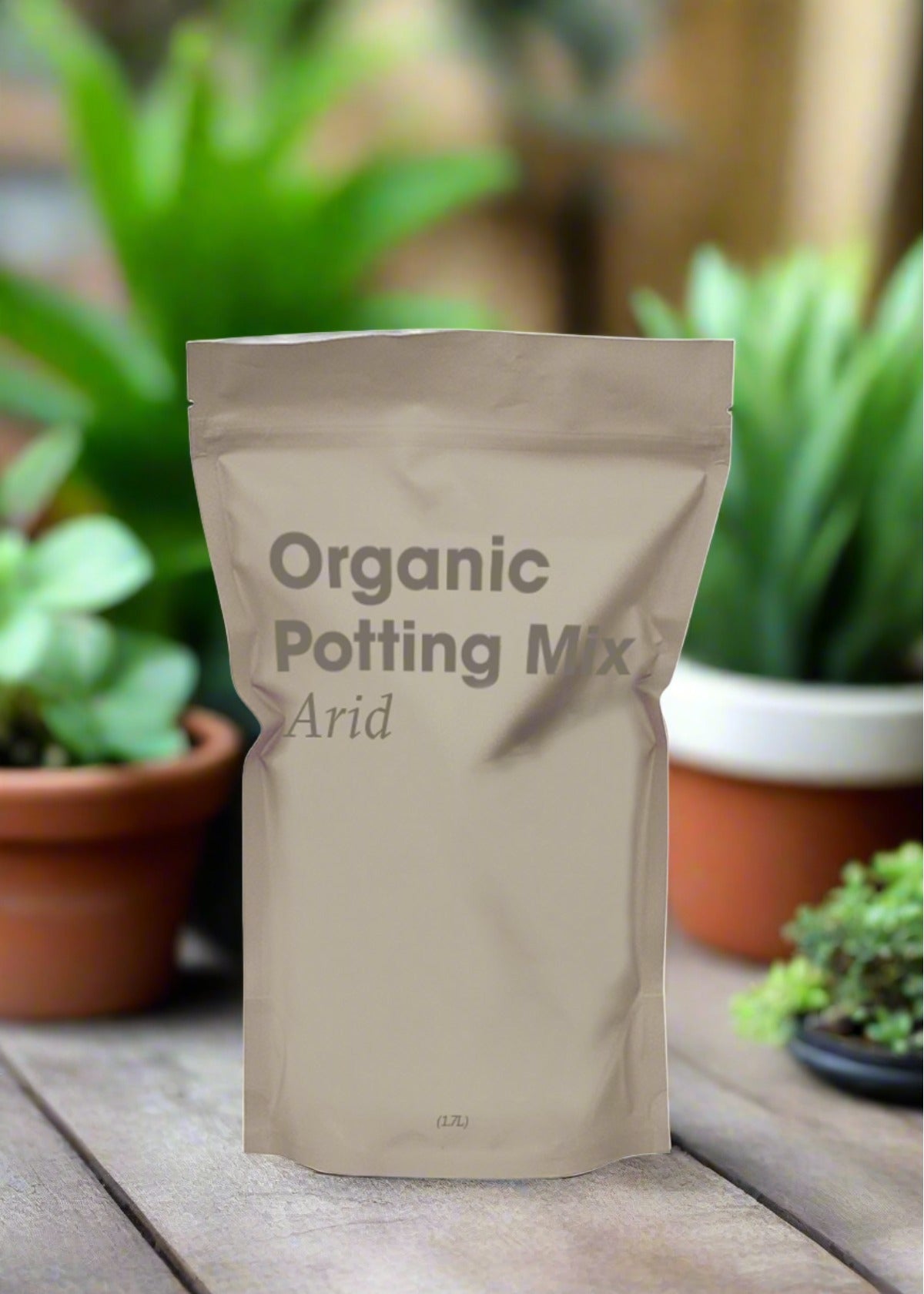 Arid Plants Potting Mix  Plant Boxx   